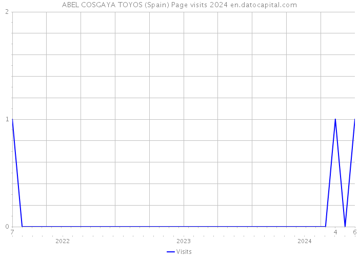 ABEL COSGAYA TOYOS (Spain) Page visits 2024 