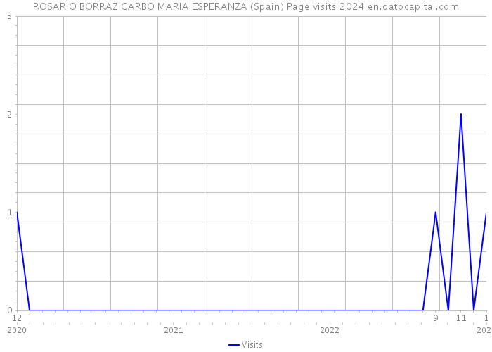 ROSARIO BORRAZ CARBO MARIA ESPERANZA (Spain) Page visits 2024 