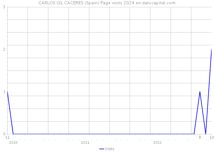 CARLOS GIL CACERES (Spain) Page visits 2024 