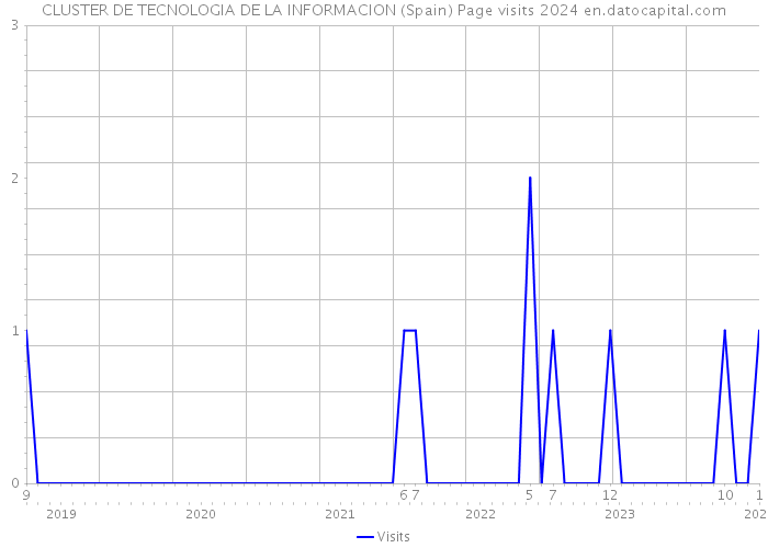 CLUSTER DE TECNOLOGIA DE LA INFORMACION (Spain) Page visits 2024 