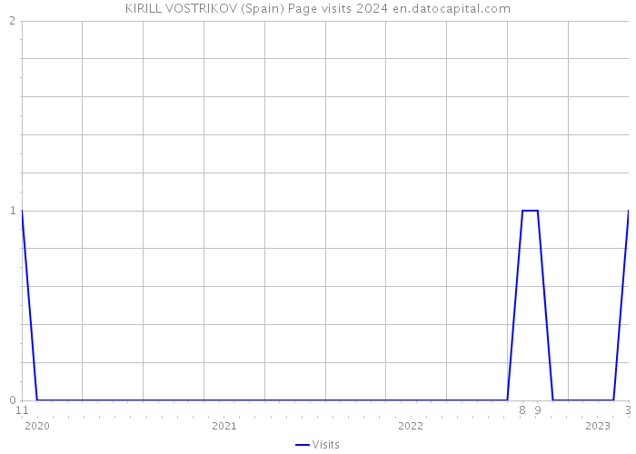 KIRILL VOSTRIKOV (Spain) Page visits 2024 