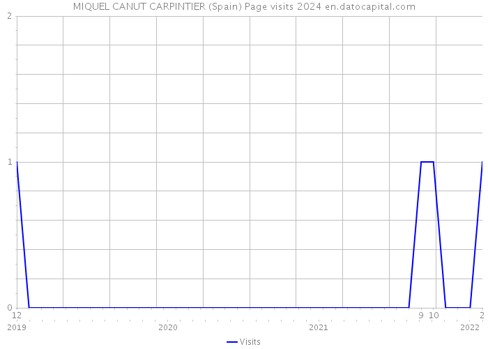 MIQUEL CANUT CARPINTIER (Spain) Page visits 2024 