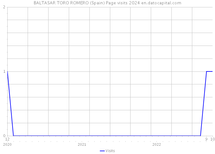 BALTASAR TORO ROMERO (Spain) Page visits 2024 