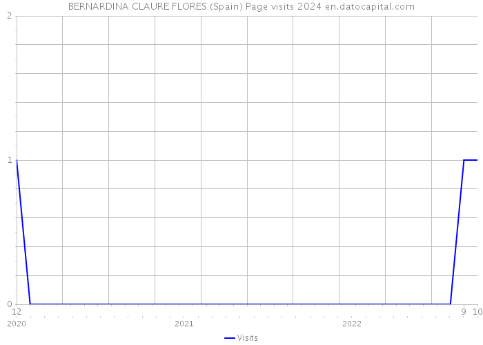 BERNARDINA CLAURE FLORES (Spain) Page visits 2024 