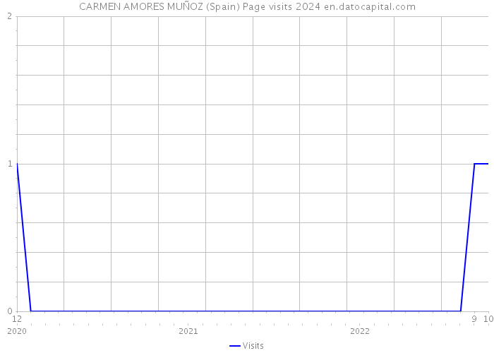 CARMEN AMORES MUÑOZ (Spain) Page visits 2024 