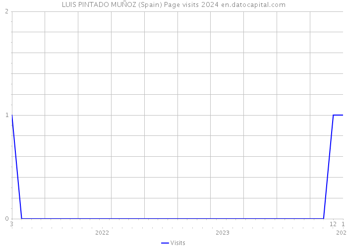 LUIS PINTADO MUÑOZ (Spain) Page visits 2024 