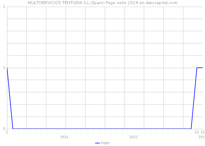 MULTISERVICIOS TENTUDIA S.L (Spain) Page visits 2024 