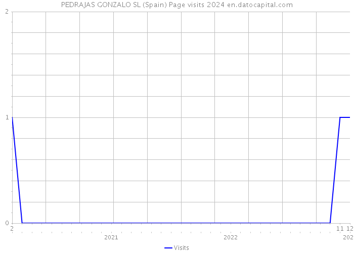 PEDRAJAS GONZALO SL (Spain) Page visits 2024 