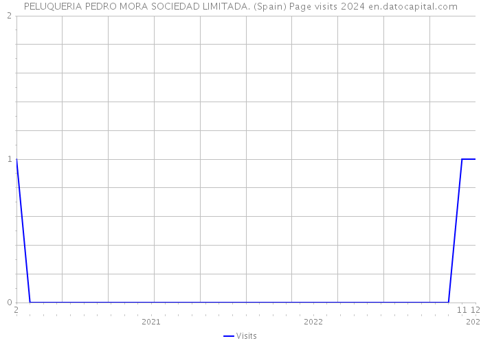 PELUQUERIA PEDRO MORA SOCIEDAD LIMITADA. (Spain) Page visits 2024 