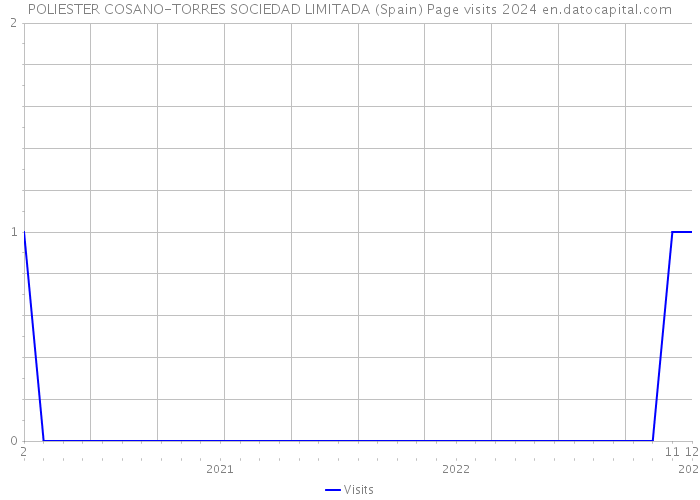 POLIESTER COSANO-TORRES SOCIEDAD LIMITADA (Spain) Page visits 2024 