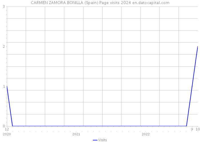 CARMEN ZAMORA BONILLA (Spain) Page visits 2024 