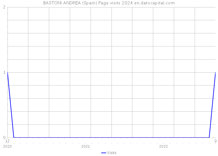 BASTONI ANDREA (Spain) Page visits 2024 