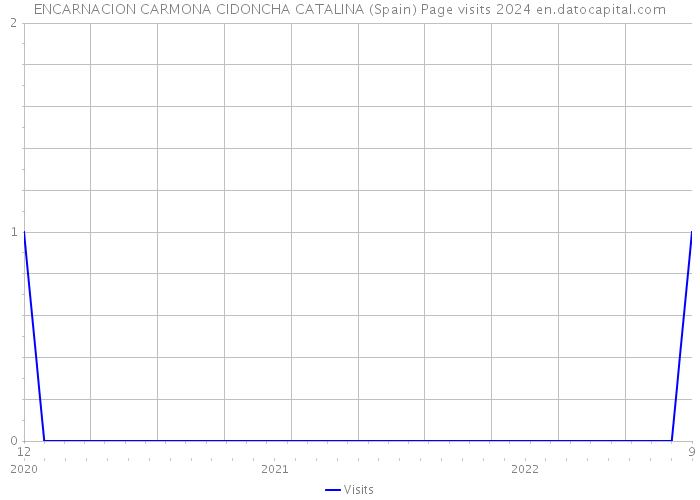 ENCARNACION CARMONA CIDONCHA CATALINA (Spain) Page visits 2024 