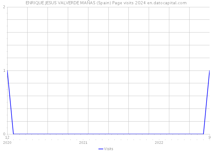 ENRIQUE JESUS VALVERDE MAÑAS (Spain) Page visits 2024 