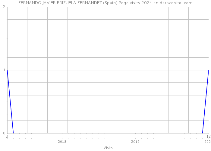 FERNANDO JAVIER BRIZUELA FERNANDEZ (Spain) Page visits 2024 