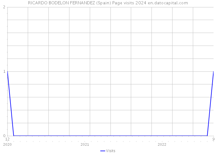 RICARDO BODELON FERNANDEZ (Spain) Page visits 2024 
