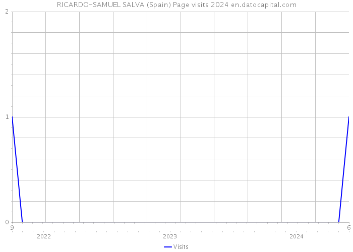 RICARDO-SAMUEL SALVA (Spain) Page visits 2024 