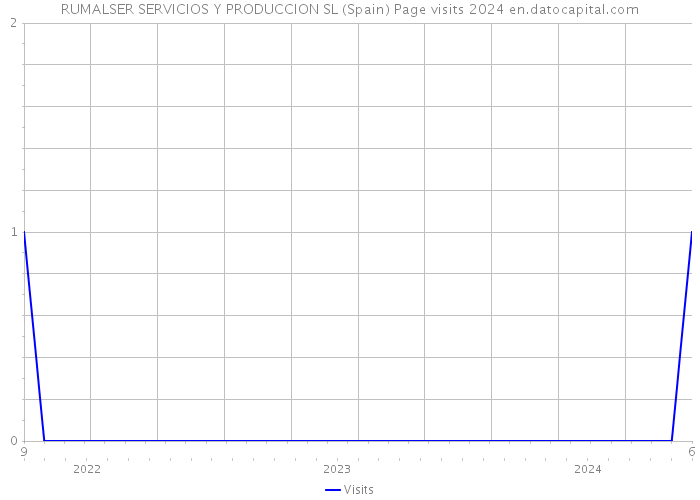 RUMALSER SERVICIOS Y PRODUCCION SL (Spain) Page visits 2024 