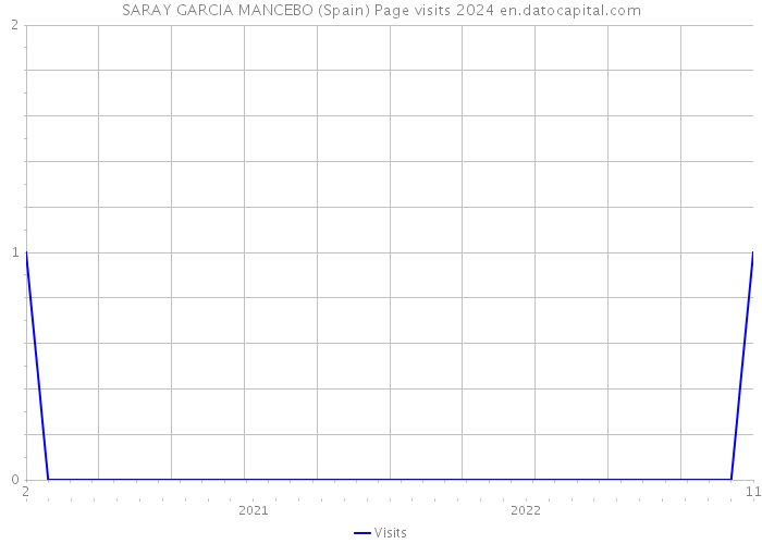 SARAY GARCIA MANCEBO (Spain) Page visits 2024 