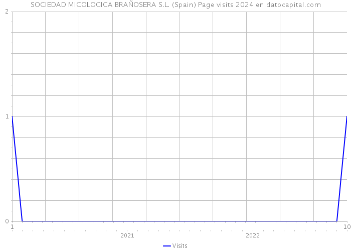 SOCIEDAD MICOLOGICA BRAÑOSERA S.L. (Spain) Page visits 2024 