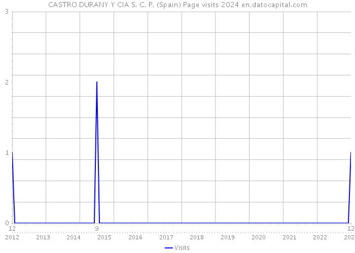 CASTRO DURANY Y CIA S. C. P. (Spain) Page visits 2024 