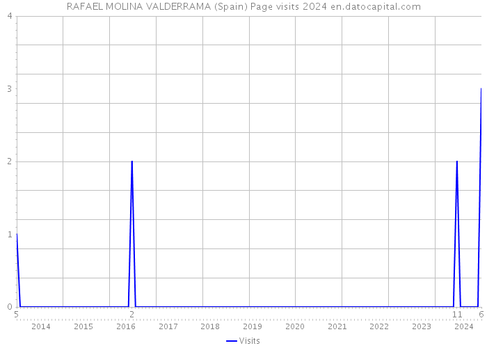 RAFAEL MOLINA VALDERRAMA (Spain) Page visits 2024 