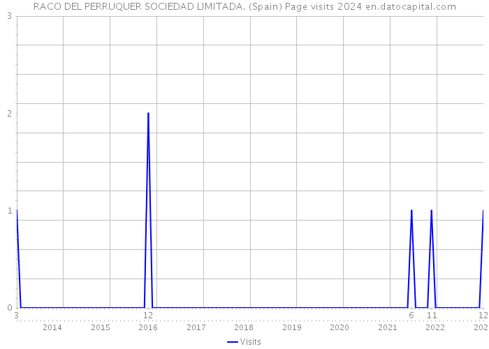 RACO DEL PERRUQUER SOCIEDAD LIMITADA. (Spain) Page visits 2024 