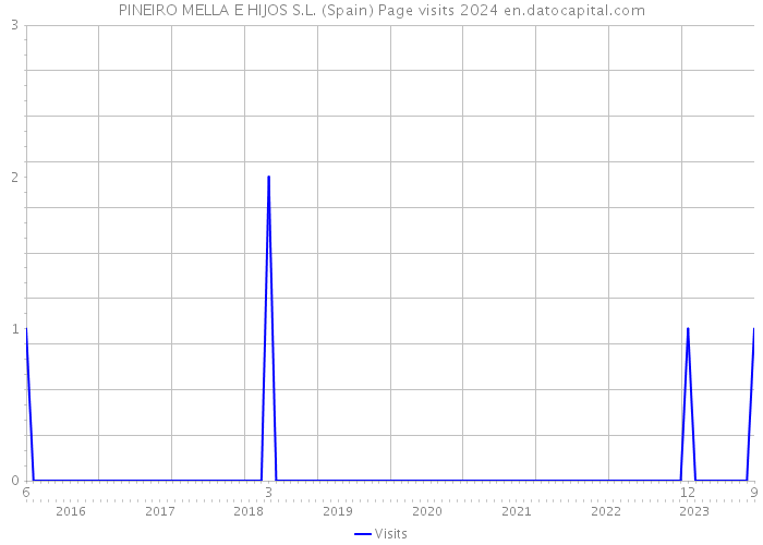 PINEIRO MELLA E HIJOS S.L. (Spain) Page visits 2024 