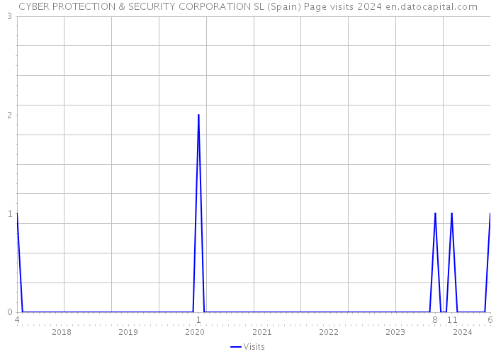 CYBER PROTECTION & SECURITY CORPORATION SL (Spain) Page visits 2024 