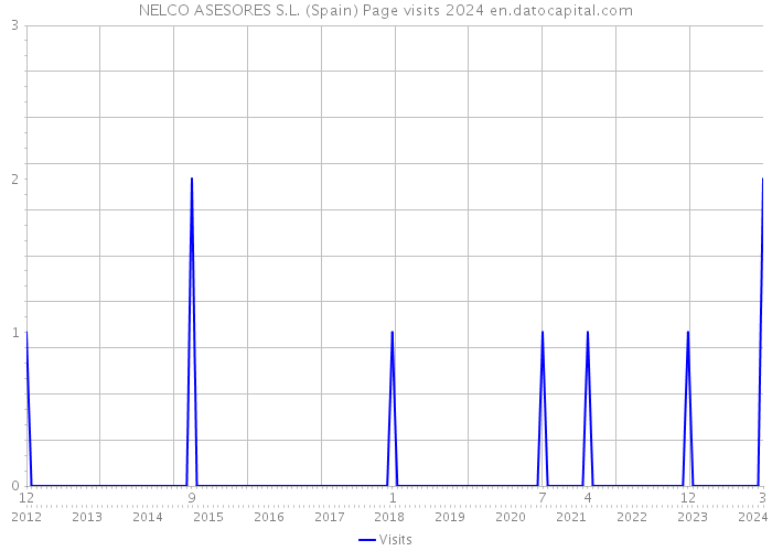NELCO ASESORES S.L. (Spain) Page visits 2024 