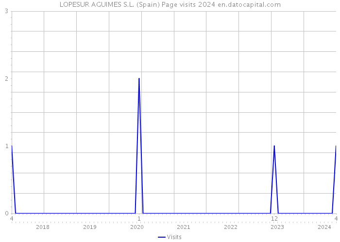 LOPESUR AGUIMES S.L. (Spain) Page visits 2024 