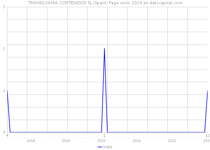 TRANSILVANIA CONTENIDOS SL (Spain) Page visits 2024 