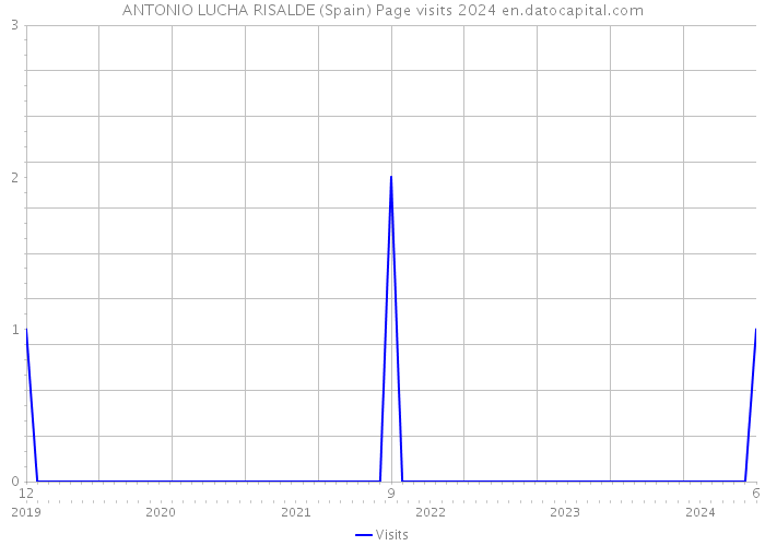 ANTONIO LUCHA RISALDE (Spain) Page visits 2024 