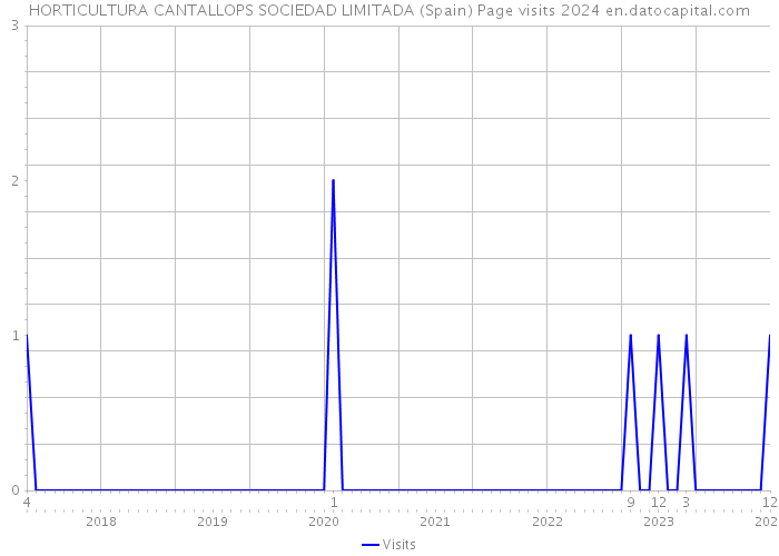 HORTICULTURA CANTALLOPS SOCIEDAD LIMITADA (Spain) Page visits 2024 