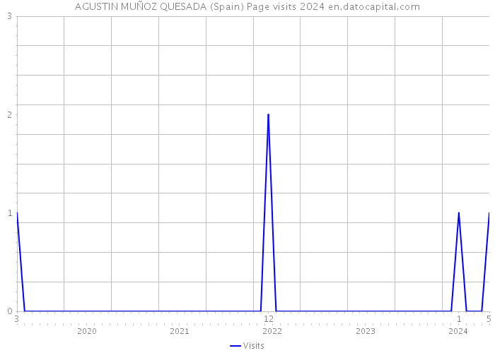 AGUSTIN MUÑOZ QUESADA (Spain) Page visits 2024 
