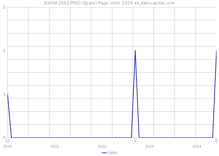 JUANA DIAZ PINO (Spain) Page visits 2024 