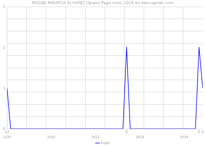 MIGUEL MALPICA ALVAREZ (Spain) Page visits 2024 