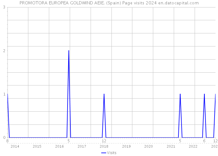 PROMOTORA EUROPEA GOLDWIND AEIE. (Spain) Page visits 2024 