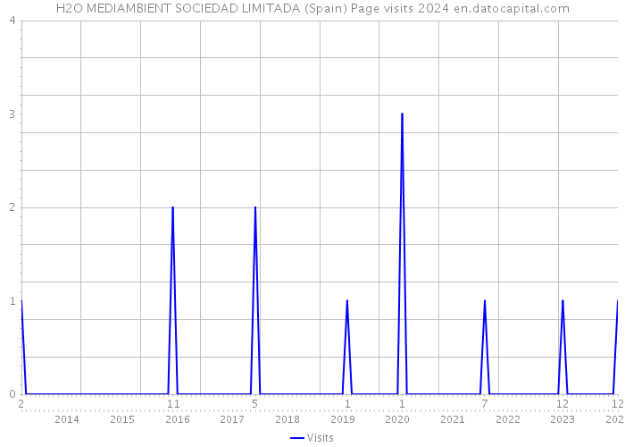 H2O MEDIAMBIENT SOCIEDAD LIMITADA (Spain) Page visits 2024 