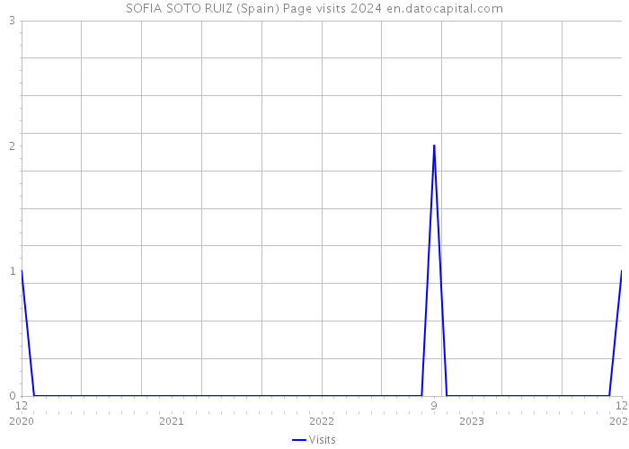SOFIA SOTO RUIZ (Spain) Page visits 2024 
