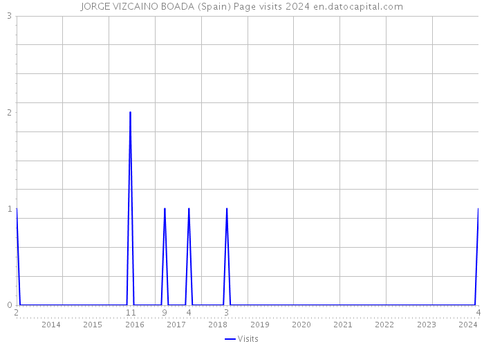 JORGE VIZCAINO BOADA (Spain) Page visits 2024 