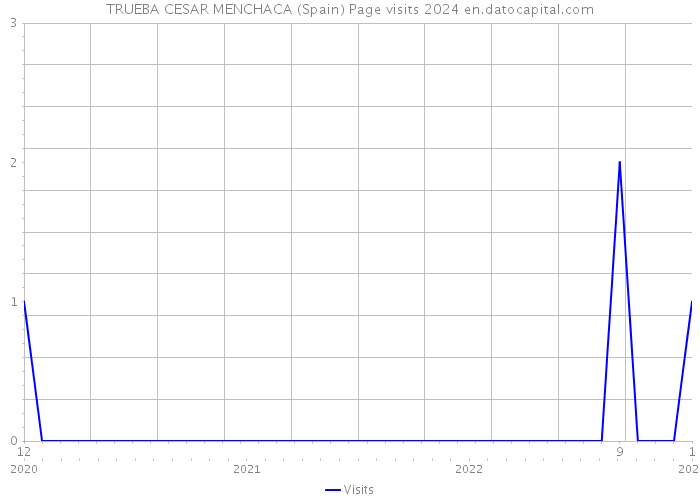 TRUEBA CESAR MENCHACA (Spain) Page visits 2024 
