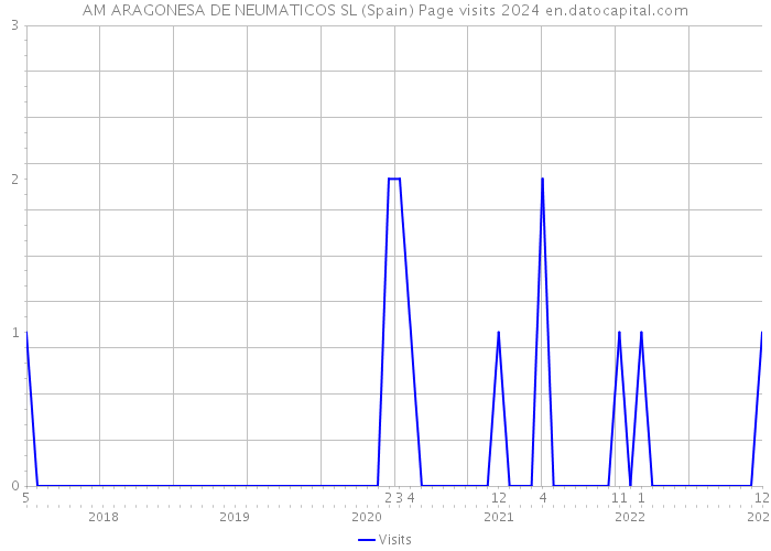 AM ARAGONESA DE NEUMATICOS SL (Spain) Page visits 2024 