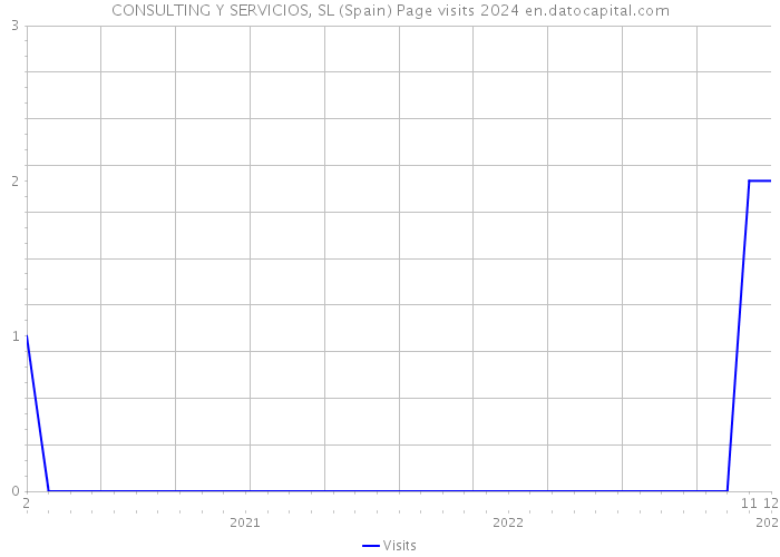 CONSULTING Y SERVICIOS, SL (Spain) Page visits 2024 