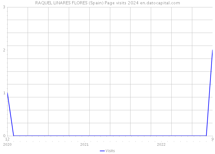 RAQUEL LINARES FLORES (Spain) Page visits 2024 