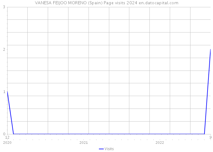 VANESA FEIJOO MORENO (Spain) Page visits 2024 