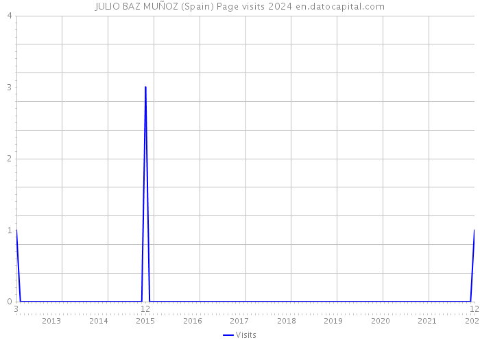 JULIO BAZ MUÑOZ (Spain) Page visits 2024 