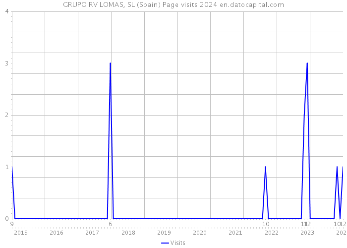 GRUPO RV LOMAS, SL (Spain) Page visits 2024 