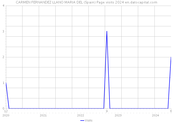 CARMEN FERNANDEZ LLANO MARIA DEL (Spain) Page visits 2024 