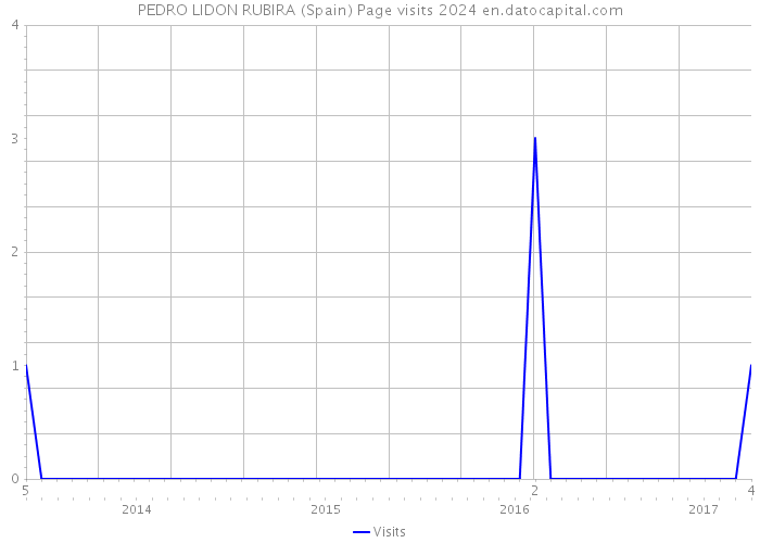 PEDRO LIDON RUBIRA (Spain) Page visits 2024 